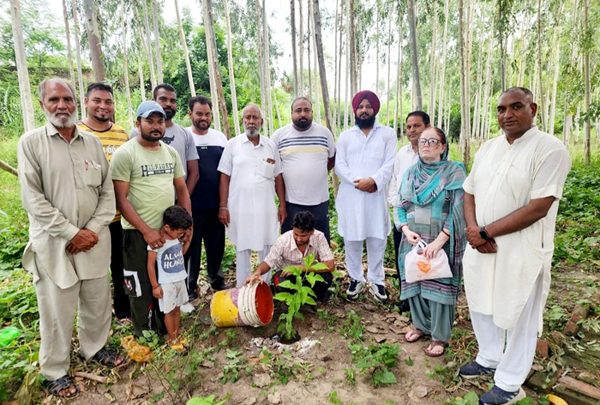 Planted flowering, fruit and shade trees at Anand Ashram Bhammian